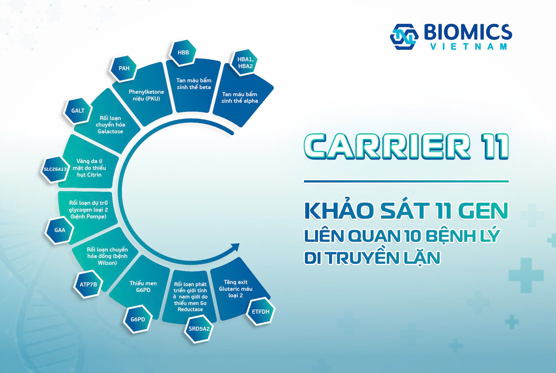 Sàng lọc bệnh lý di truyền đơn gen lặn – Xét nghiệm quan trọng trước khi có quyết định sinh con