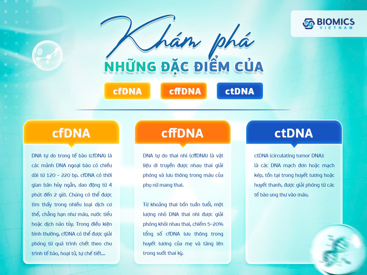Khám phá những đặc điểm của cfDNA, cffDNA và ctDNA