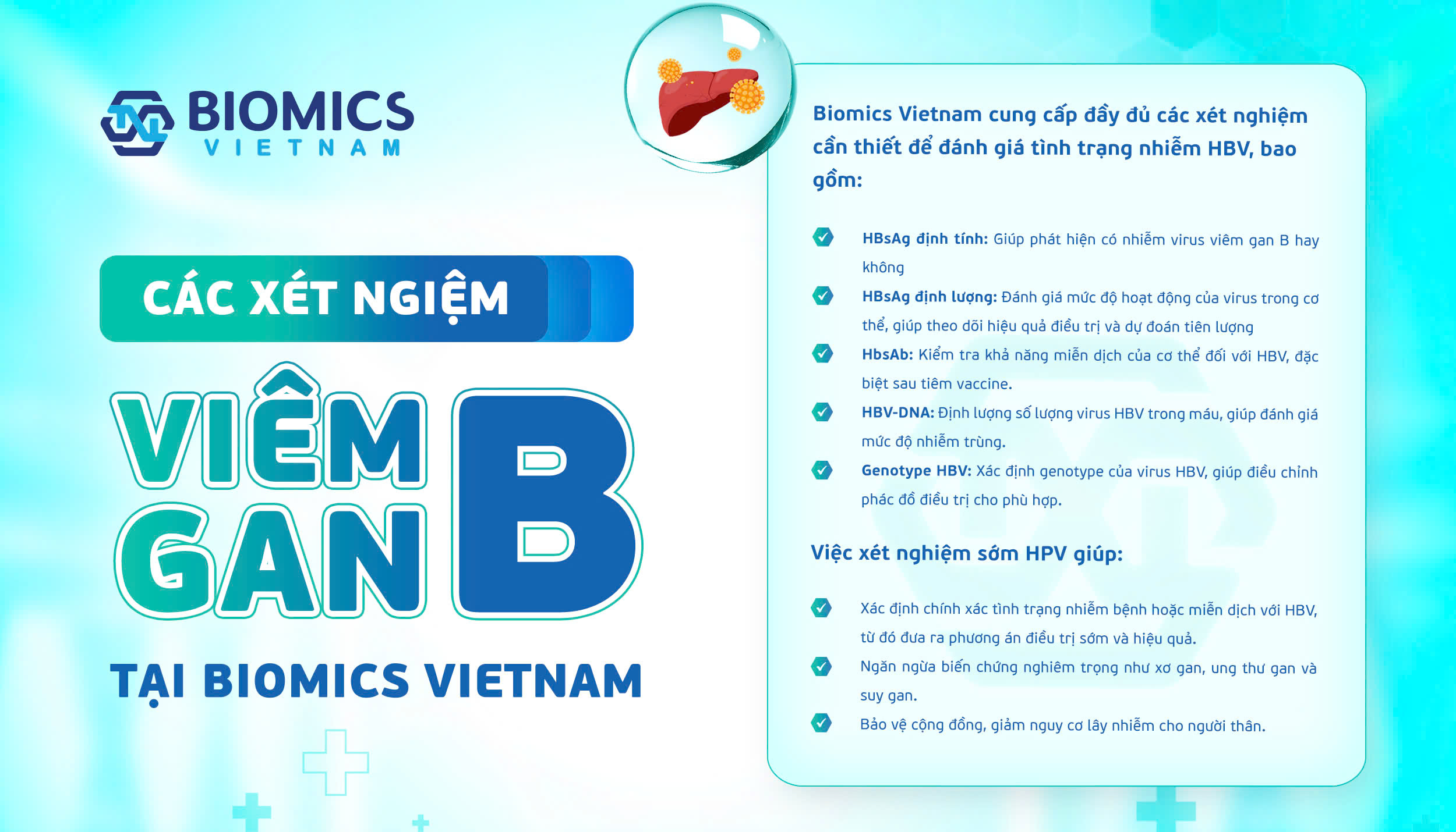 Virus HBV nguy hiểm như thế nào?