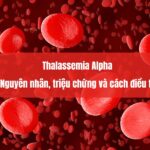 thalassemia-alpha-thumb