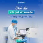 Hội chứng antiphospholipid