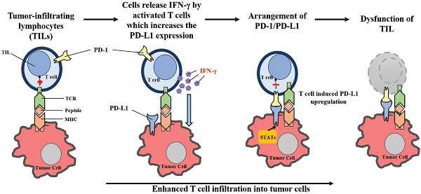 xet_nghiem_PDL-1
